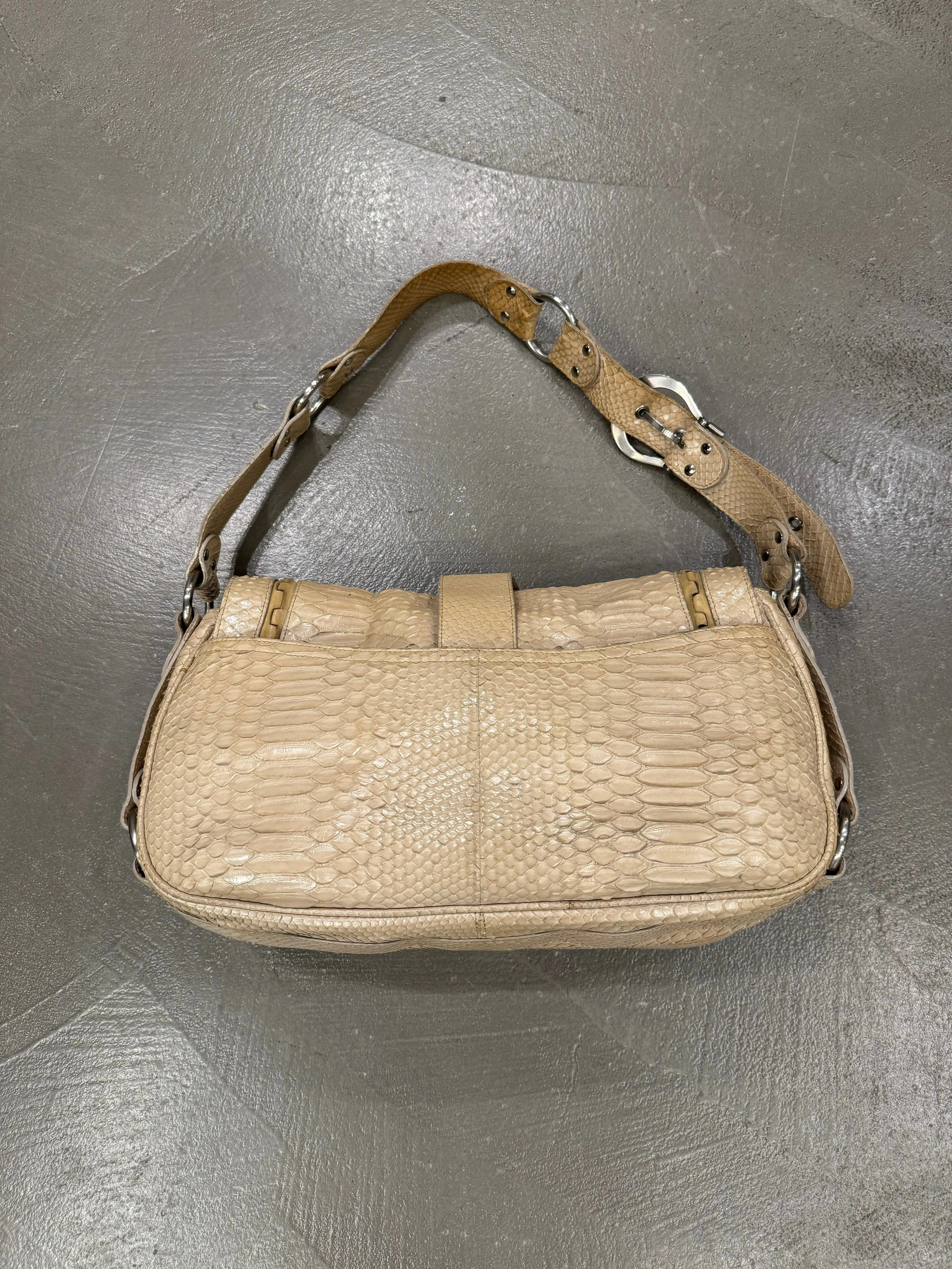 2000s Dior by John Galliano python bag - limited editions