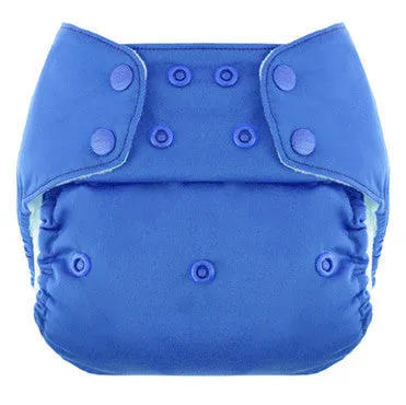 Blueberry Simplex One-Size All-in-One Cloth Diaper - Snap