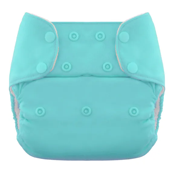 Blueberry Simplex One-Size All-in-One Cloth Diaper - Snap