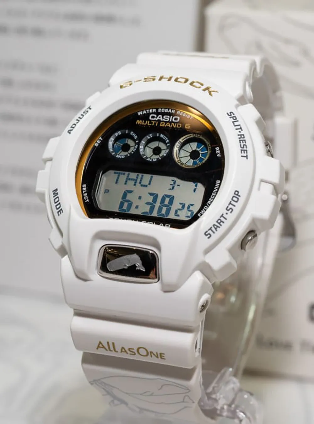 CASIO WATCH G-SHOCK DIGITAL LOVE THE SEA AND THE EARTH 30TH ANNIVERSARY ICERC JAPAN COLLABORATION MODEL 2024 GW-6904K-7JR JDM