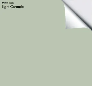 Dulux Light Ceramic