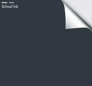 Dulux School Ink