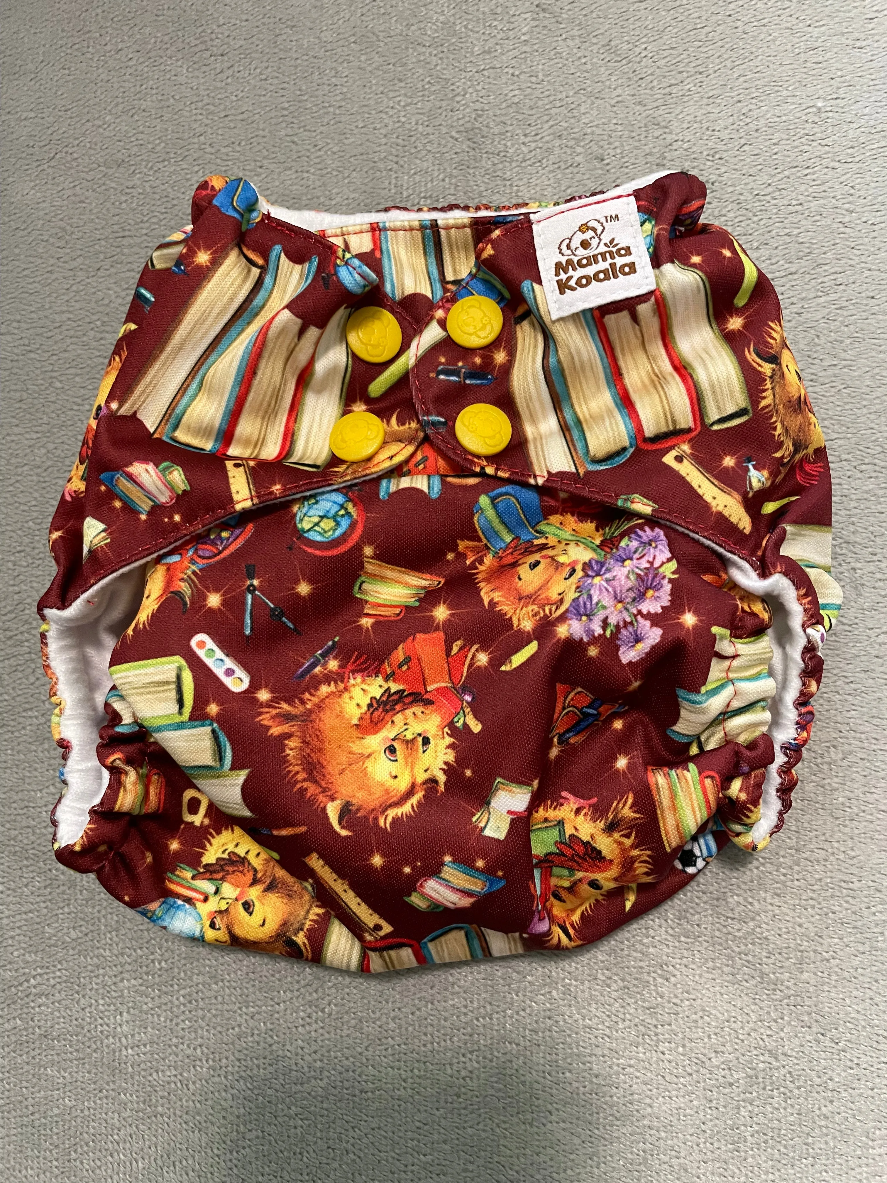 F147-Education-Mama Koala Pocket Diaper 1.0