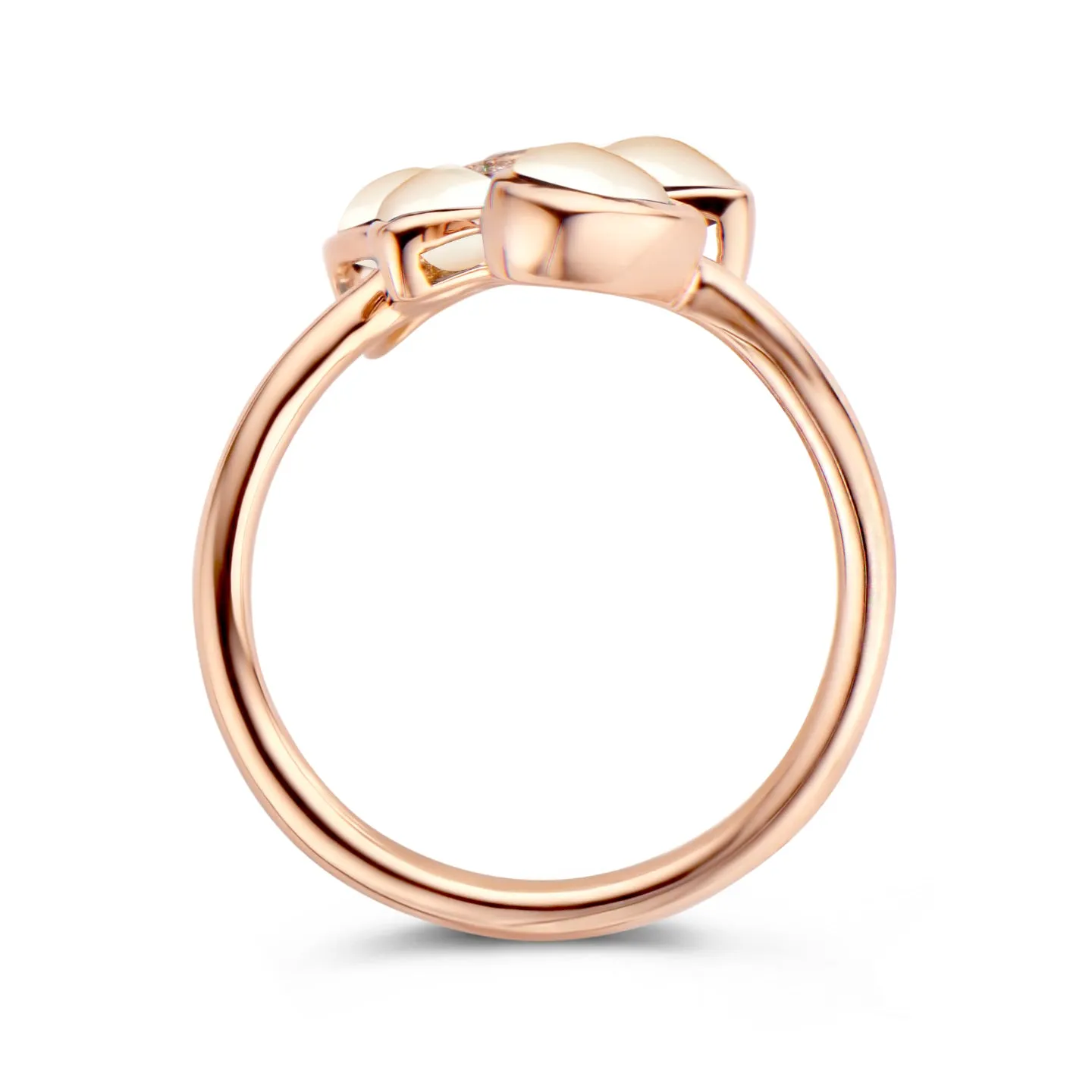 Fiji Ring