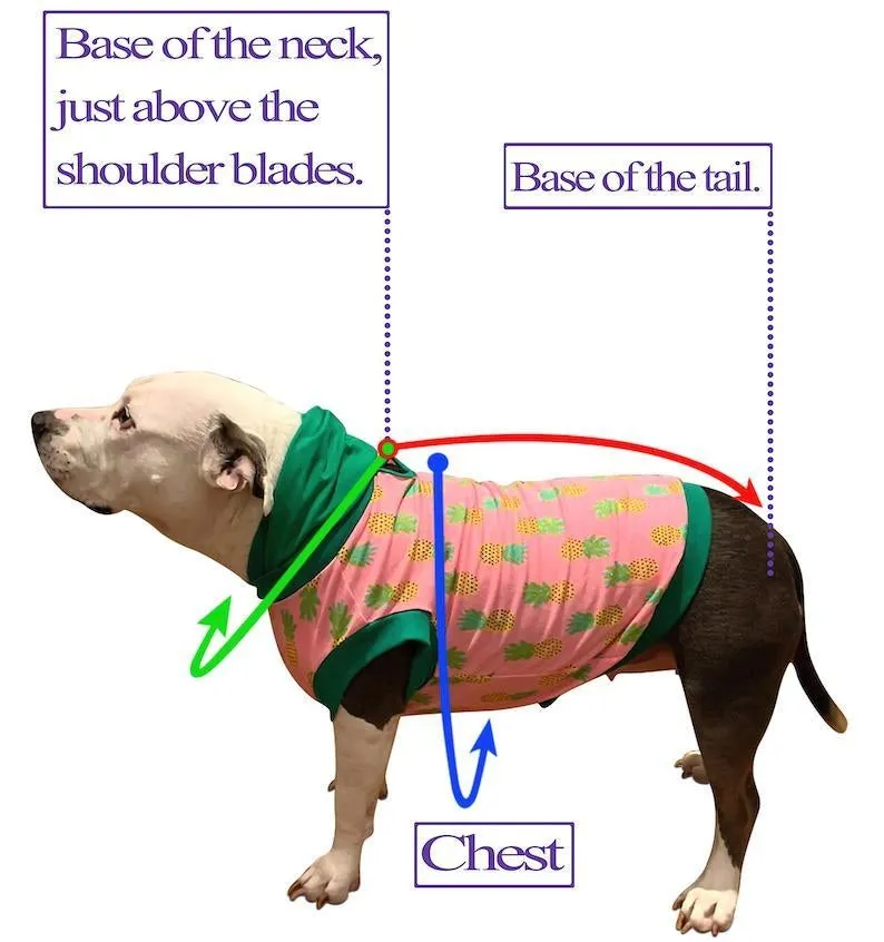 Glam Puffer Jacket, Vests and Capes with Ruffle