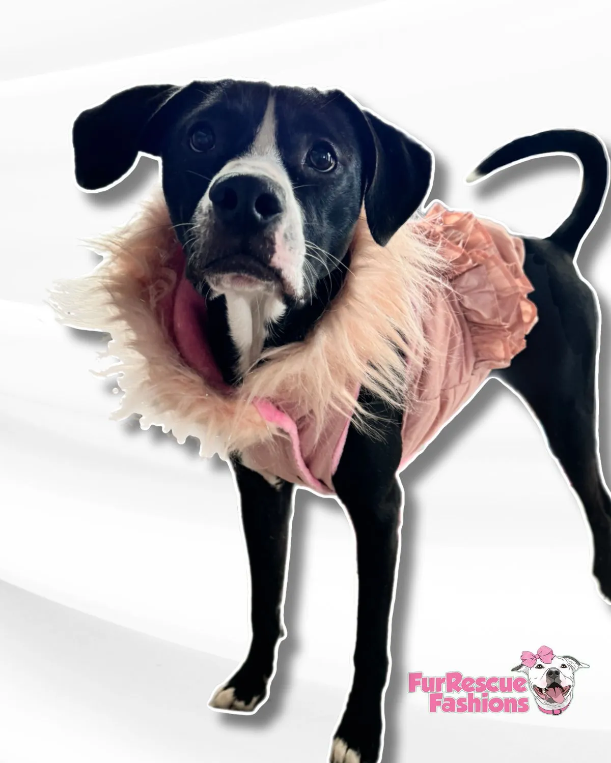 Glam Puffer Jacket, Vests and Capes with Ruffle