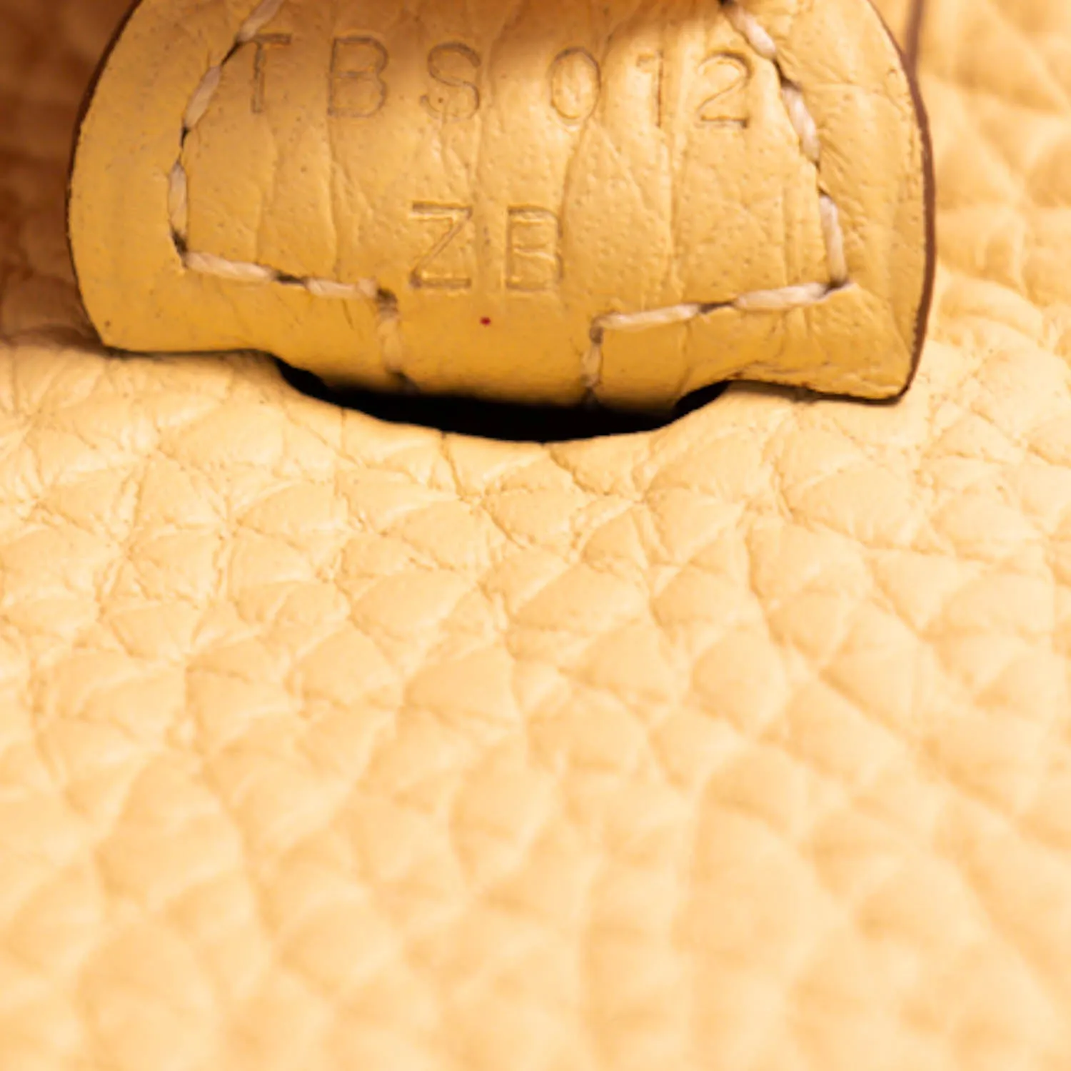 Hermès Evelyne TPM Clemence Leather
