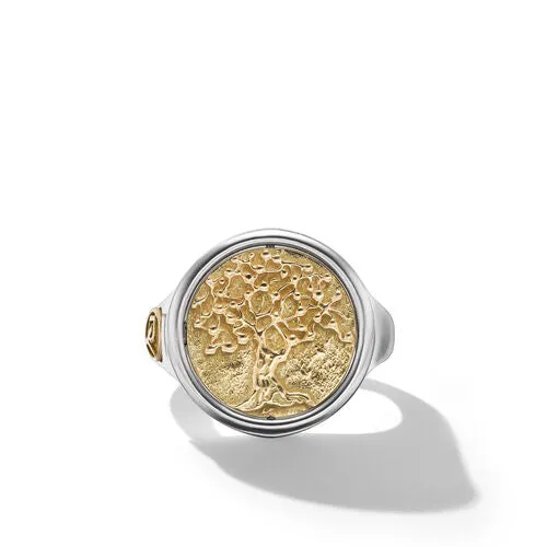 Life and Death Ring in Silver and Yellow Gold, Size 9