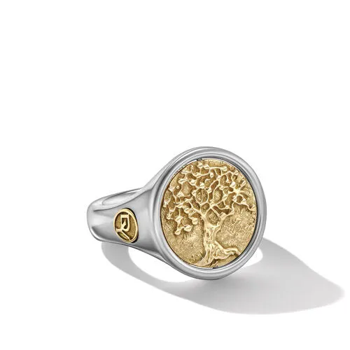 Life and Death Ring in Silver and Yellow Gold, Size 9