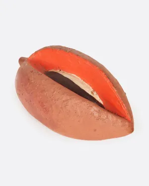 Sapote Fruit Coin Bank