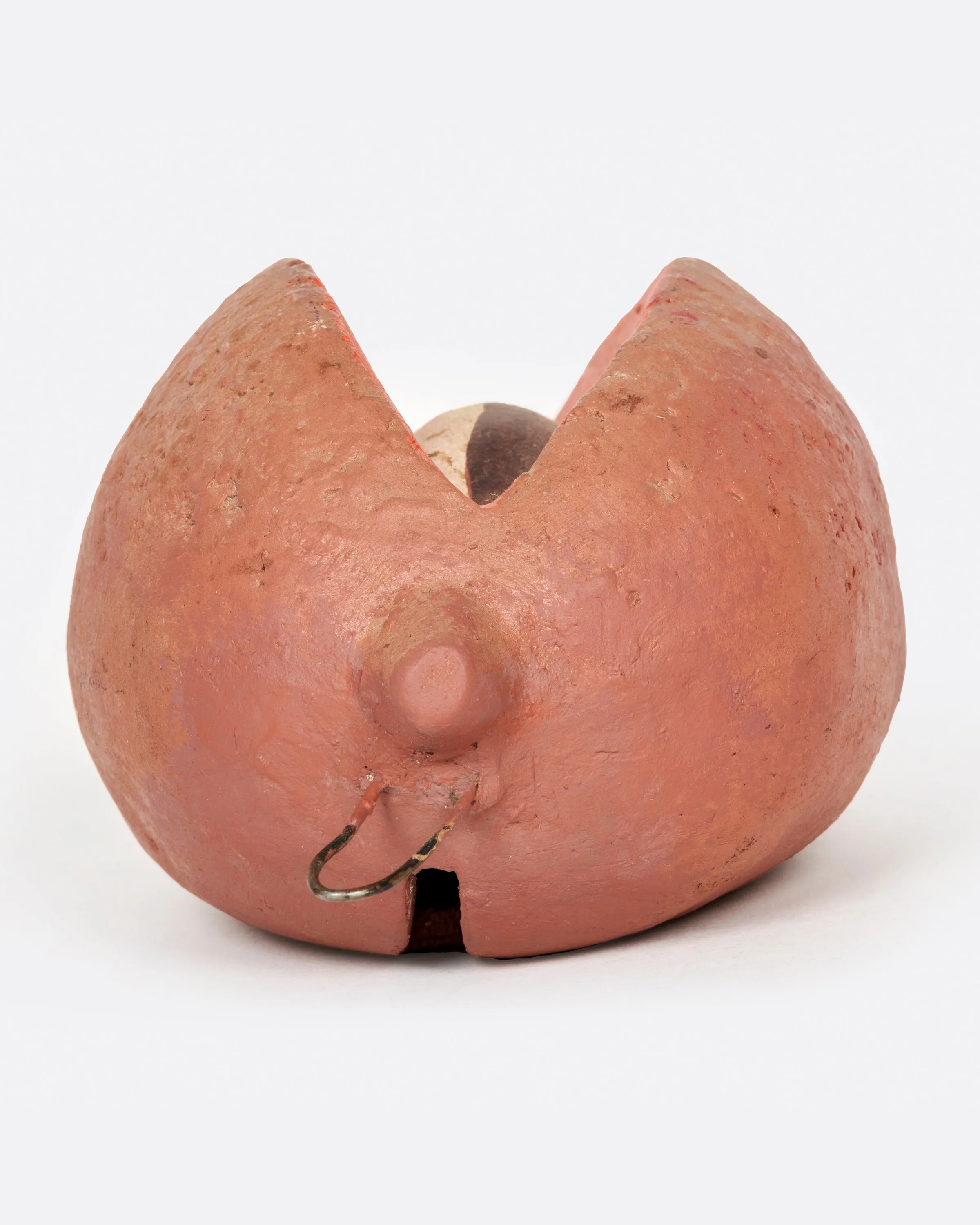 Sapote Fruit Coin Bank