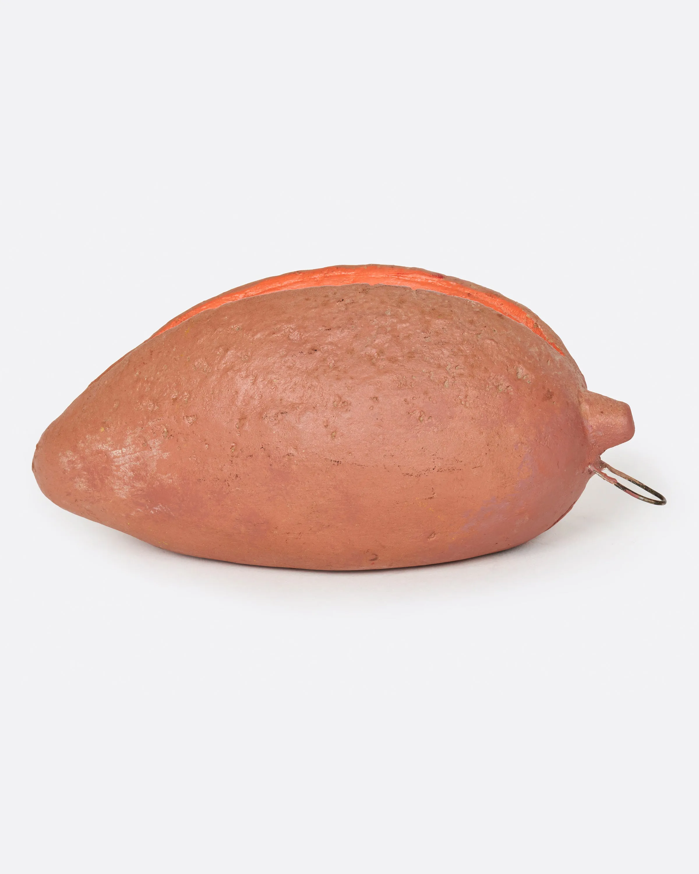 Sapote Fruit Coin Bank