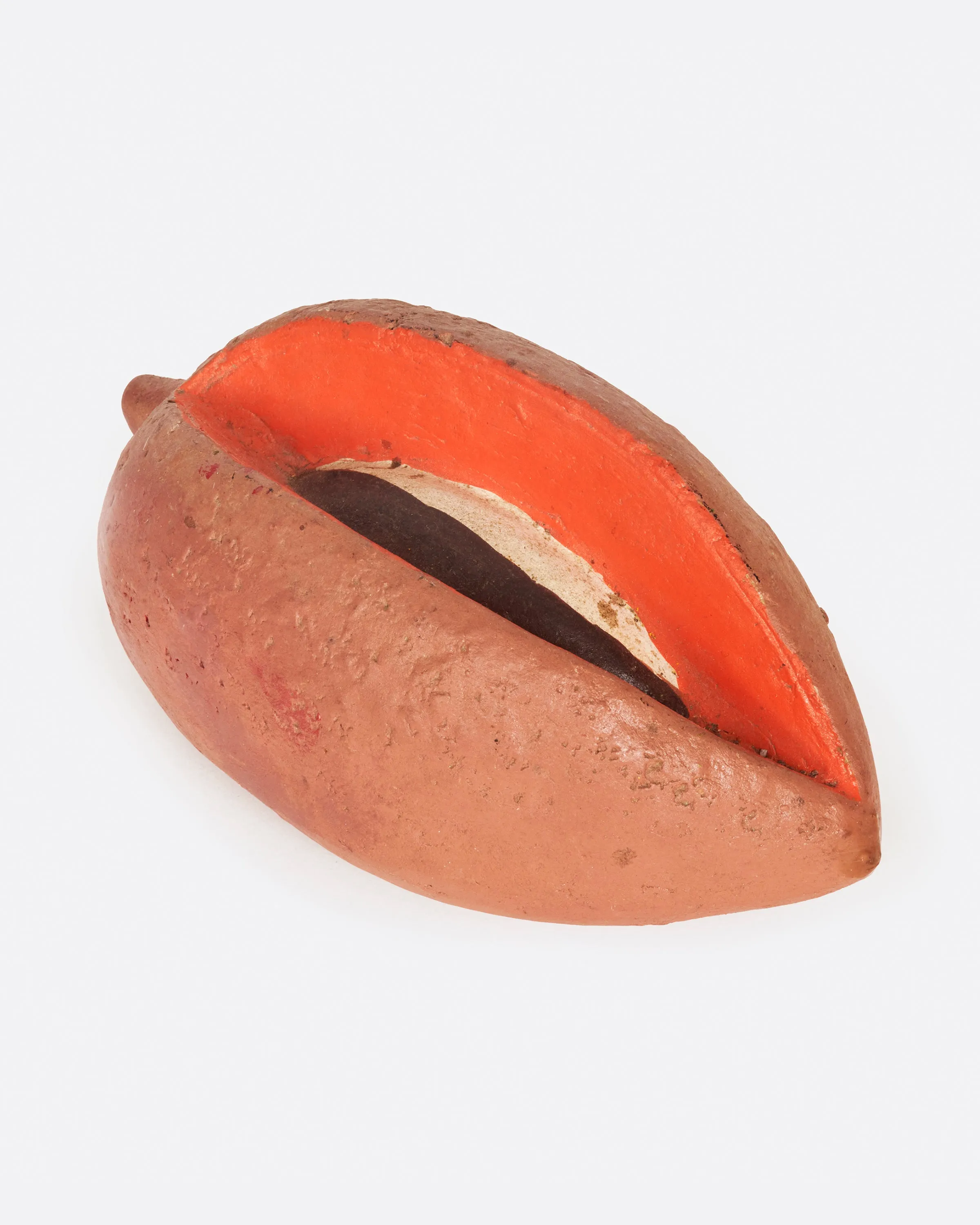 Sapote Fruit Coin Bank