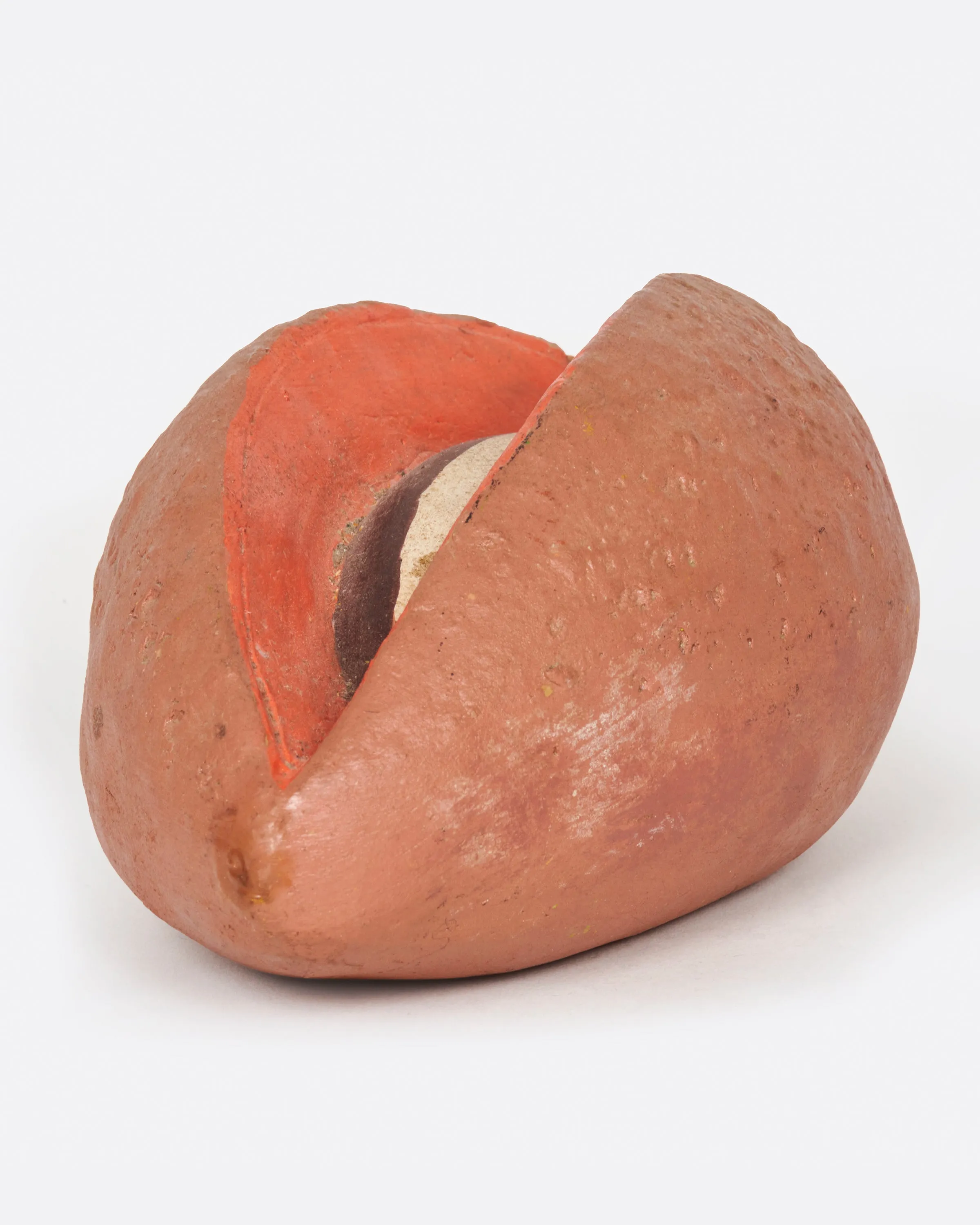 Sapote Fruit Coin Bank