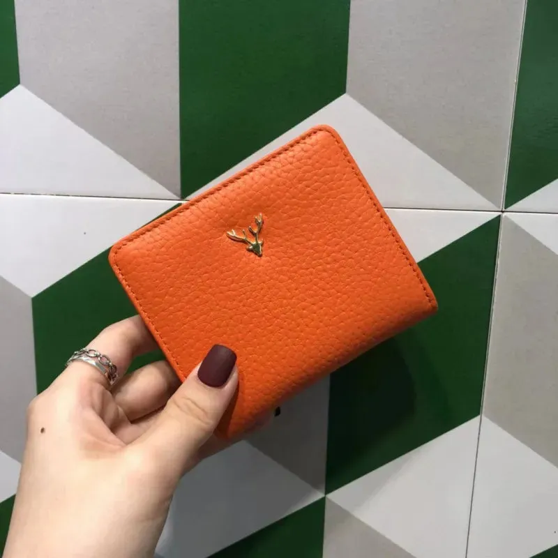 Sleek and Stylish Mini Coin Purse & Card Holder Wallet