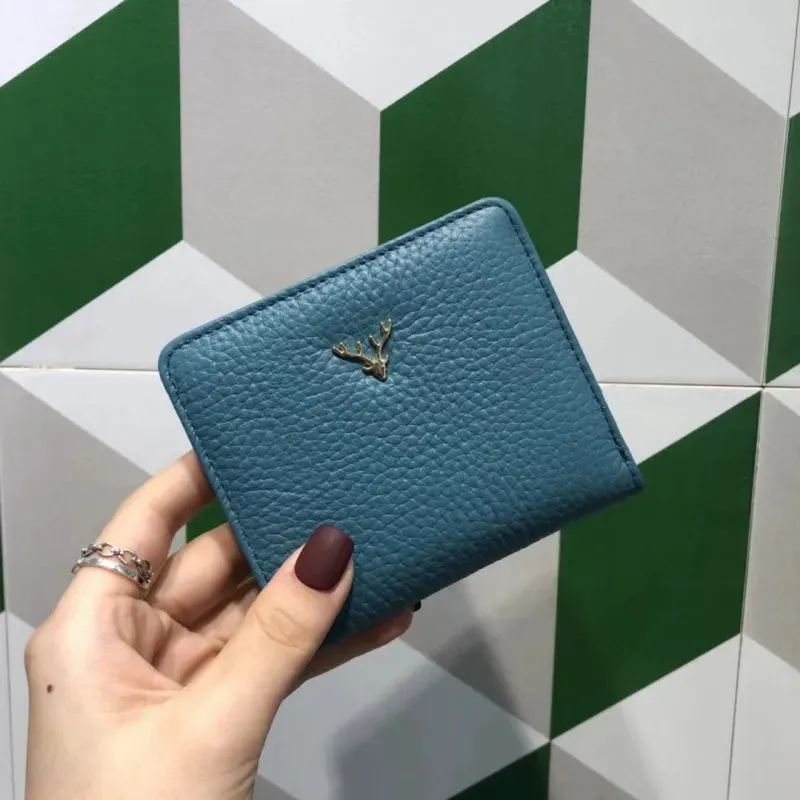 Sleek and Stylish Mini Coin Purse & Card Holder Wallet
