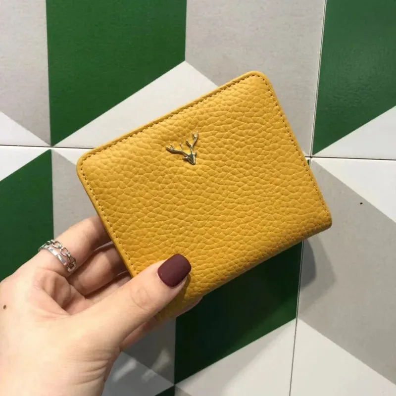 Sleek and Stylish Mini Coin Purse & Card Holder Wallet