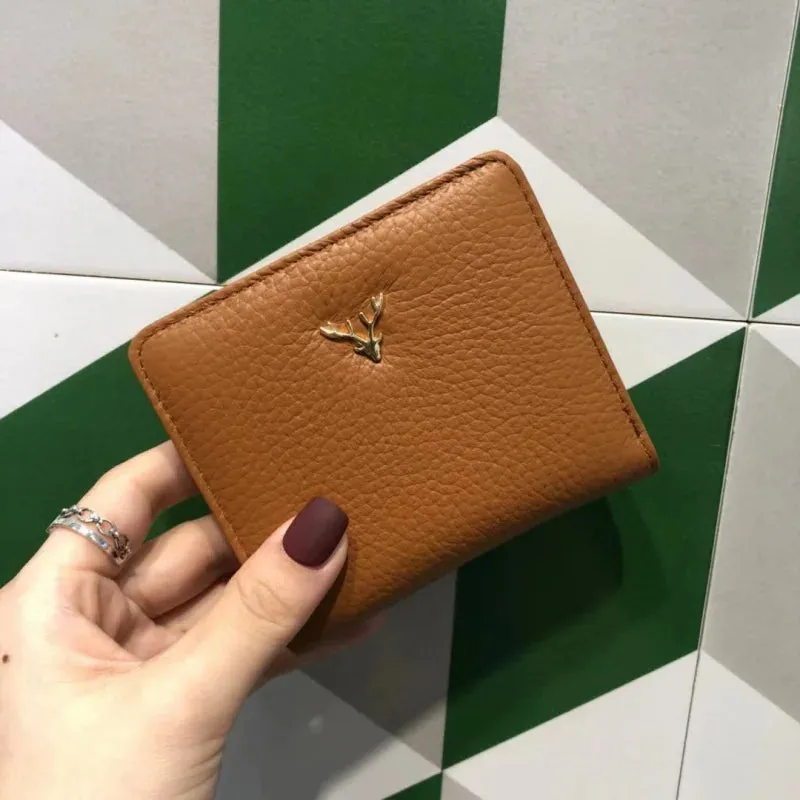 Sleek and Stylish Mini Coin Purse & Card Holder Wallet